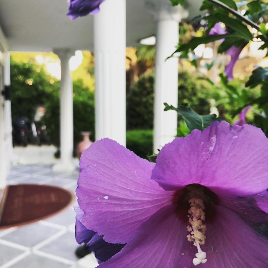 Park Hotel Cellini Lido di Jesolo Dış mekan fotoğraf